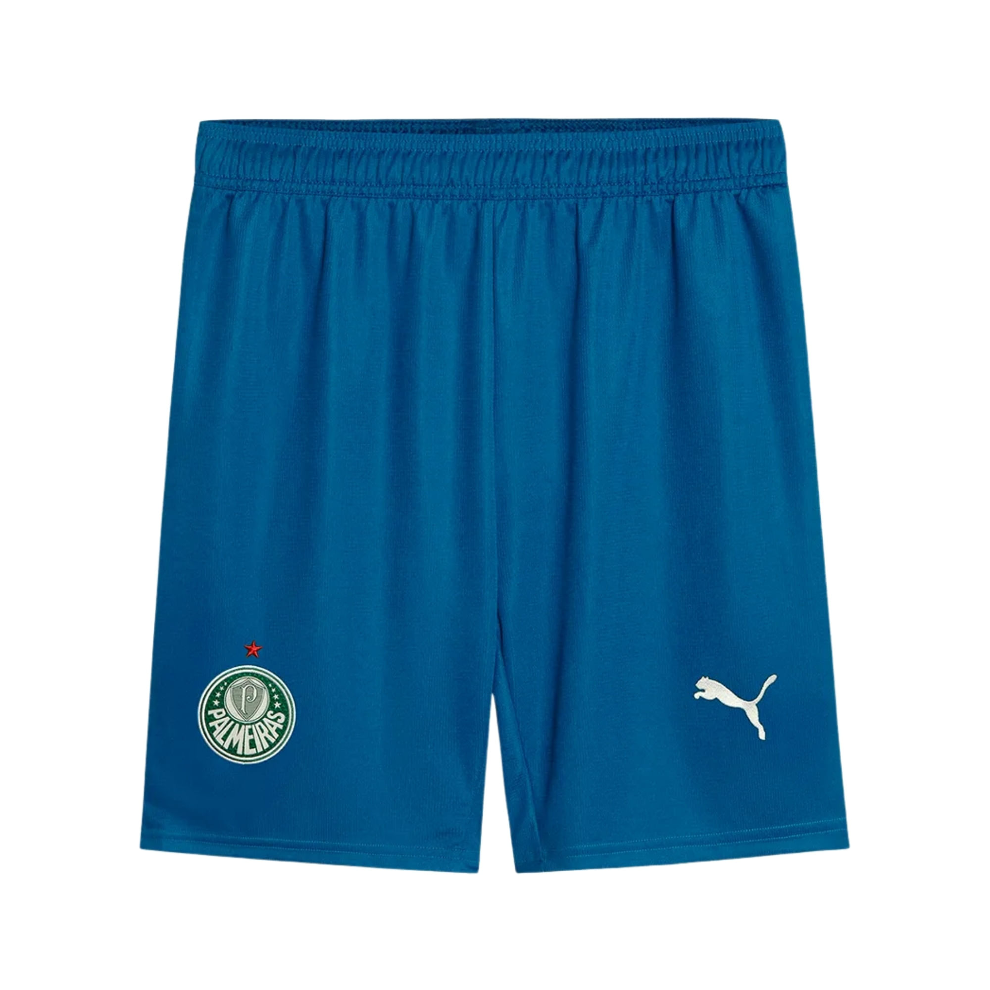 Calção Palmeiras III 25/26 Puma Torcedor Masculino - Azul