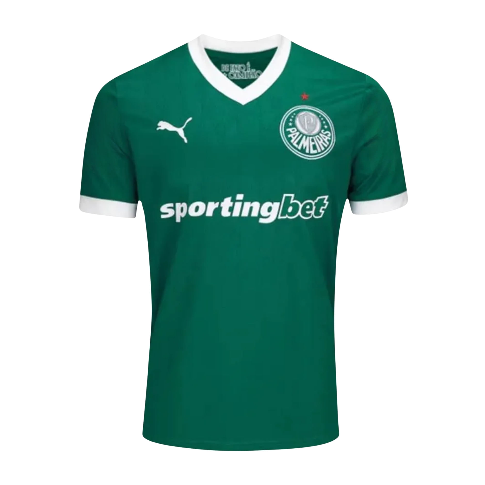 Camisa Palmeiras I 25/26 Puma Jogador Masculina - Verde